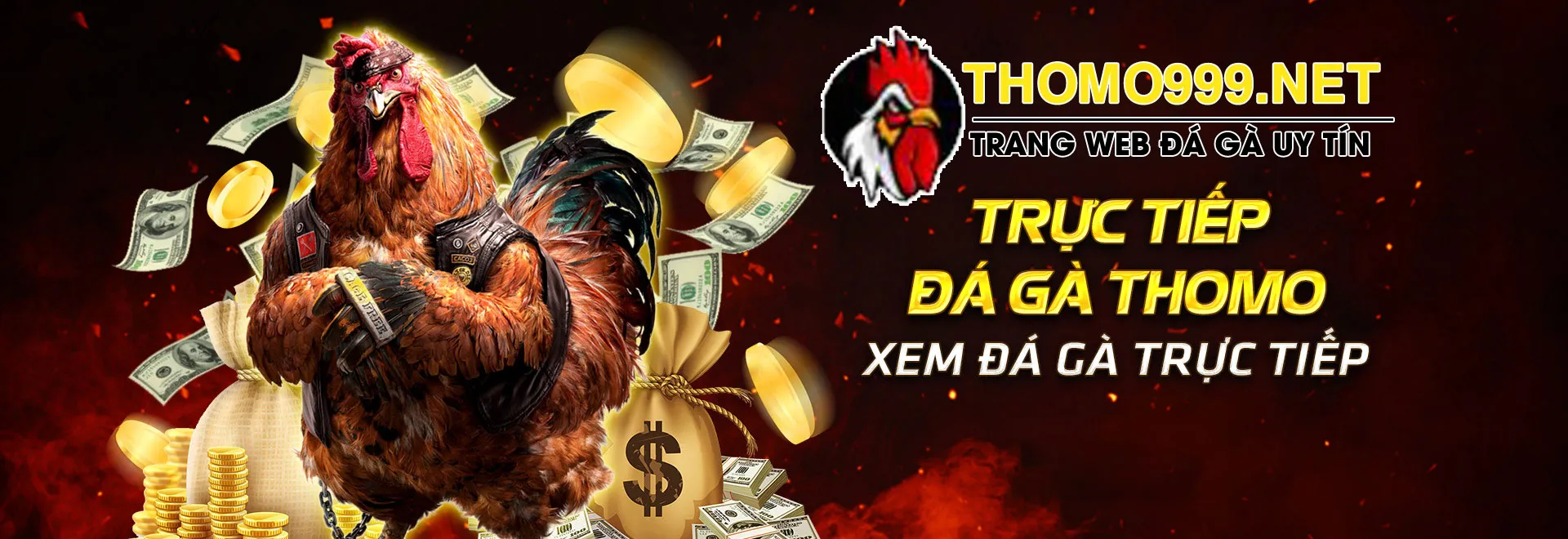 banner_đá gà casino